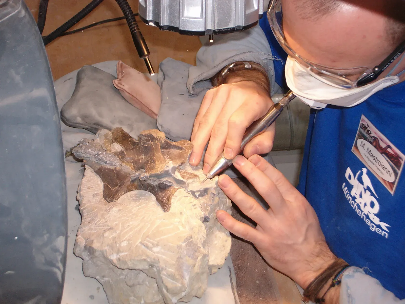 How Do You Diagnose a Dinosaur? The Tools of Paleopathology (Nils Knötschke, CC BY-SA 2.5)