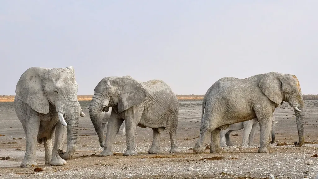 Do Elephants Recognize Their Dead, or Just the Species? (Image Credits: Rawpixel)