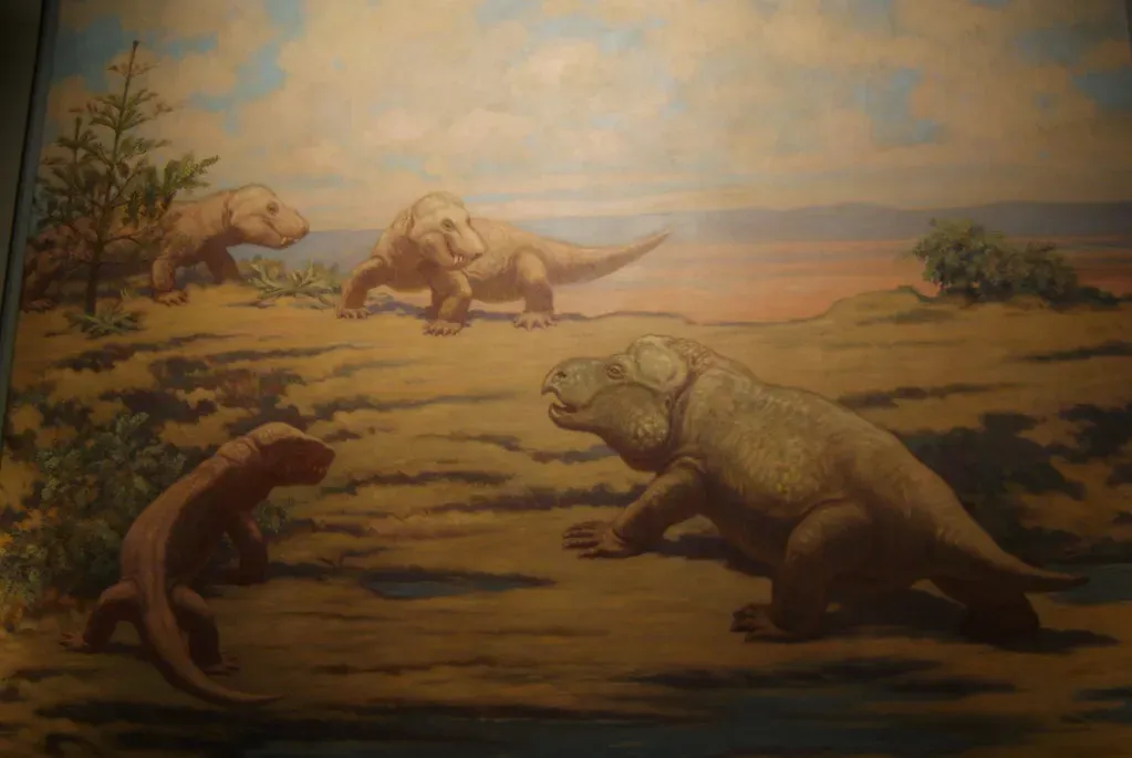 3. You Inherited Ultra-Sensitive Hearing From Tiny Night Stalkers (Dallas Krentzel, Flickr, CC BY 2.0)