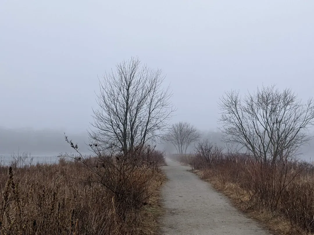 The Bridgewater Triangle, Massachusetts: A Web of Weird in the Northeast (Image Credits: Unsplash)