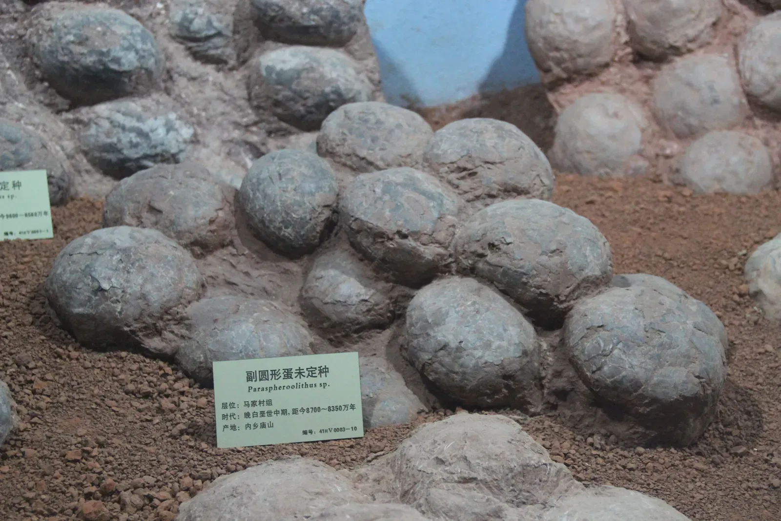 Family Matters: What Nests and Juvenile Bones Say About Parenting (By Gary Todd, CC0)