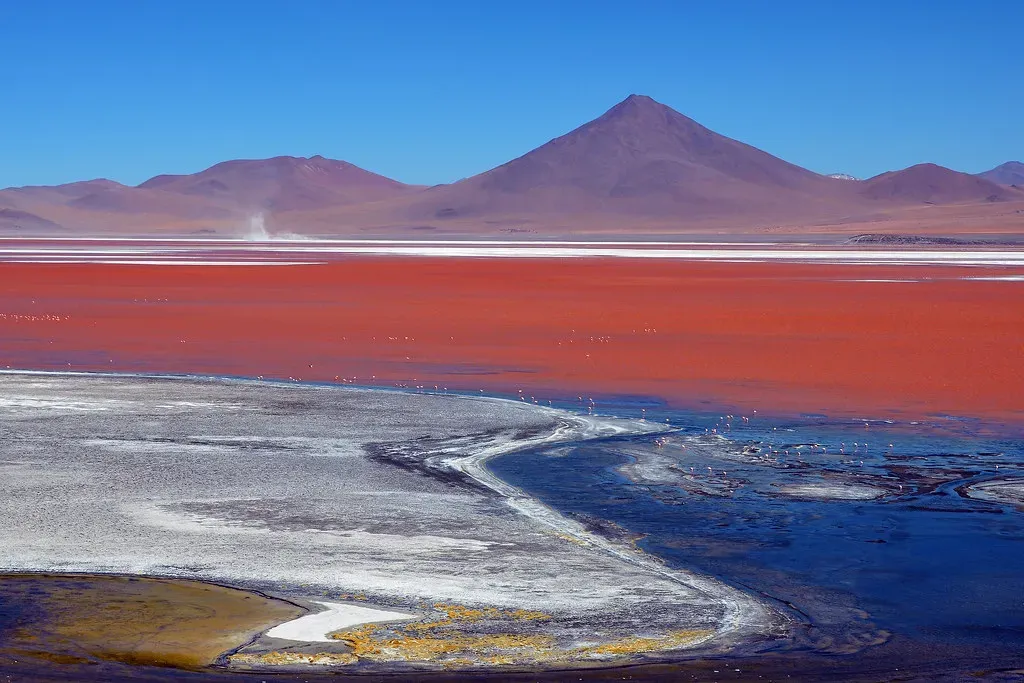 Laguna Colorada, Bolivia: Red Microalgae Painting a High‑Altitude Lagoon (madras91, Flickr, CC BY 2.0)
