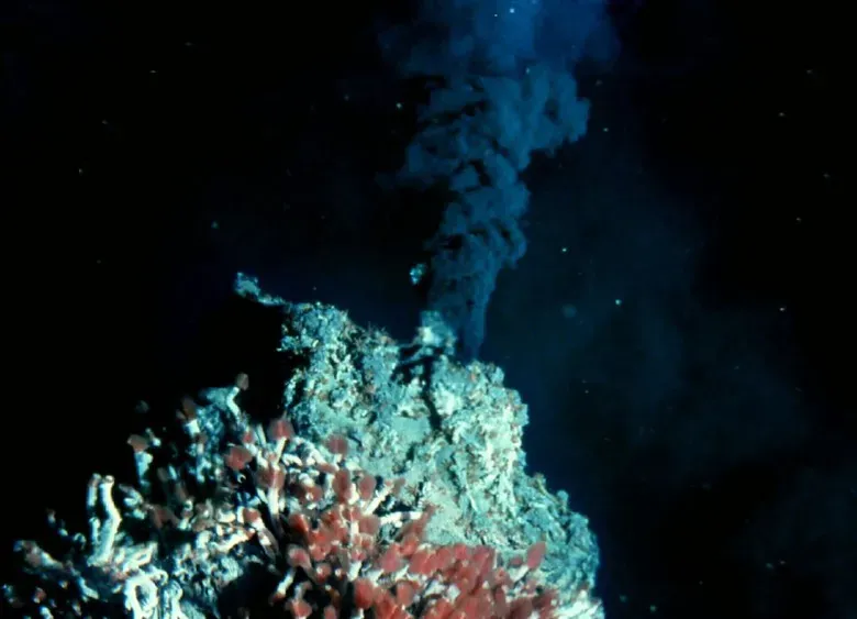 Microbes in the Trenches Can Eat Rock and Use Chemicals as Fuel (Image Credits: Flickr)