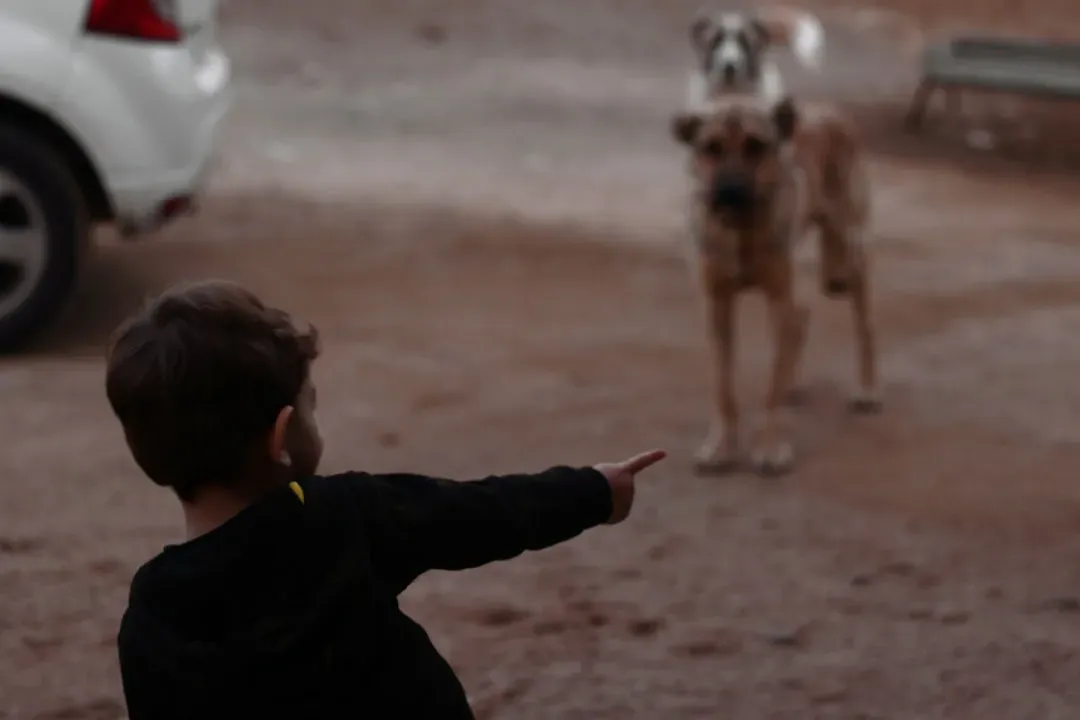 Why So Many Children Are Afraid of Animals in the First Place (Image Credits: Unsplash)