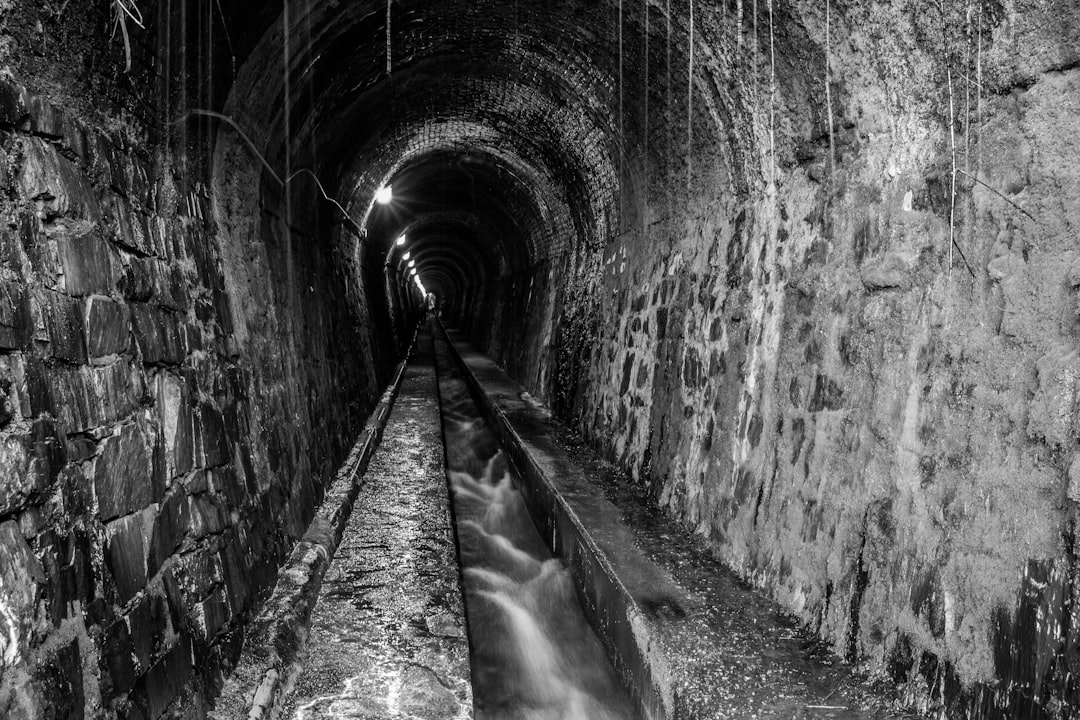 The Human Footprint, Old and New (Image Credits: Unsplash)