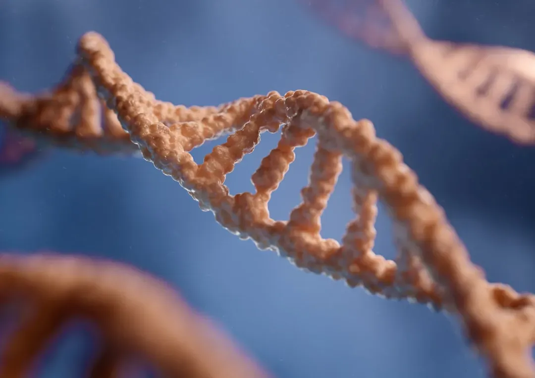 Your DNA Is More Complex and Ancient Than You Think (Image Credits: Unsplash)