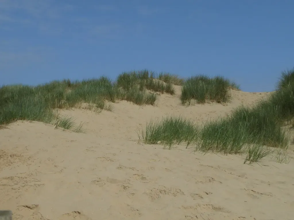 7. Coastal Dunes of Western Australia: Sand on the Move Near Growing Towns (amandabhslater, Flickr, CC BY-SA 2.0)