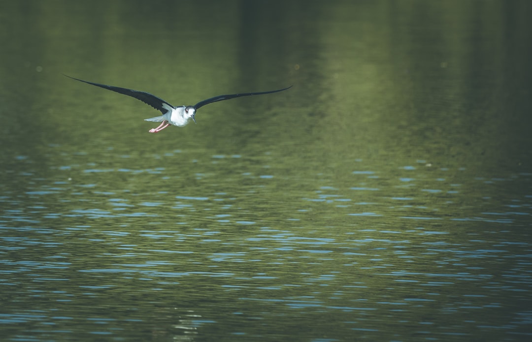 Why It Matters (Image Credits: Unsplash)