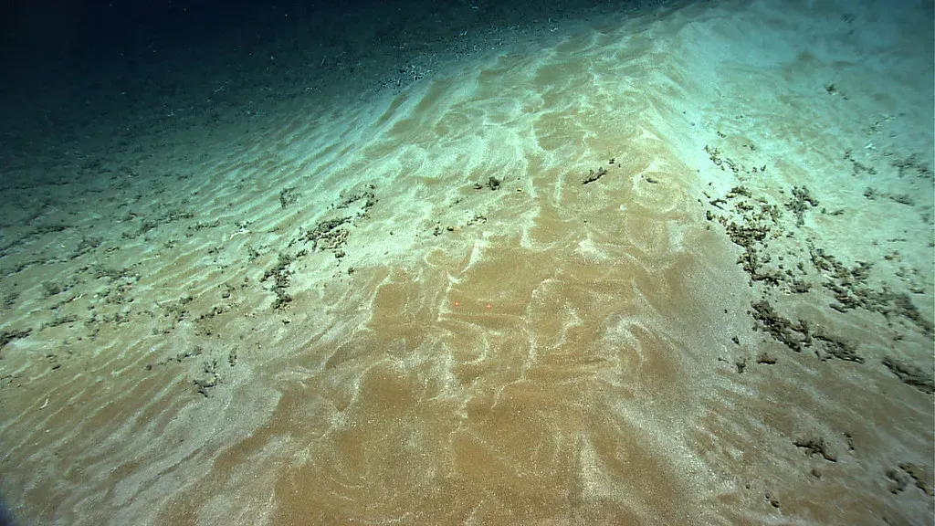 5. Steep Submarine Sand Dunes That Should Collapse (NOAA Photo Library, Flickr, CC BY 2.0)