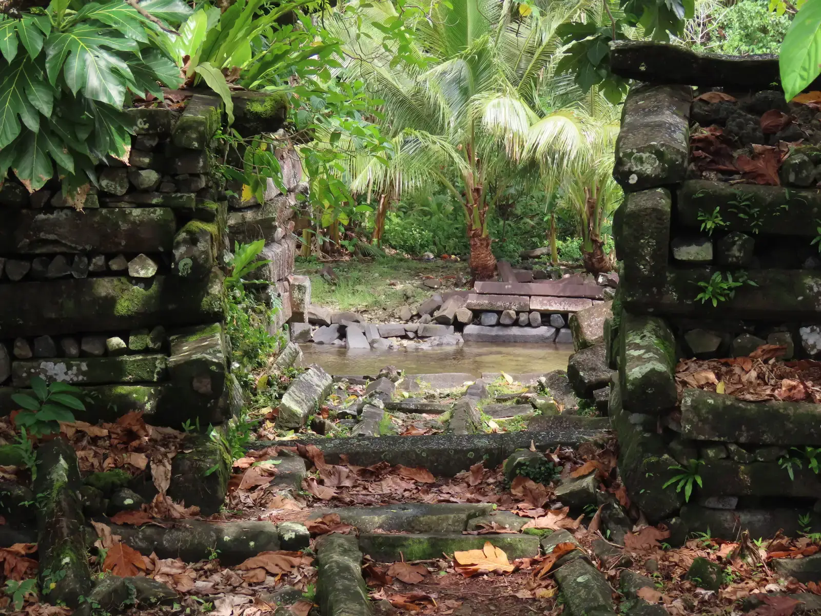 Nan Madol: The Venice of the Pacific Built on an Open Ocean (By Uhooep, CC BY-SA 4.0)