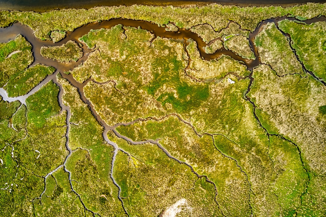 The Future Landscape (Image Credits: Unsplash)