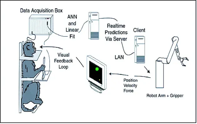 The Future Landscape: AI, Brain Tech, and Shared Minds (Image Credits: Wikimedia)