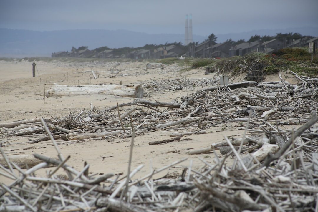 Coastal Ecosystems Would Experience Total Destruction (Image Credits: Unsplash)