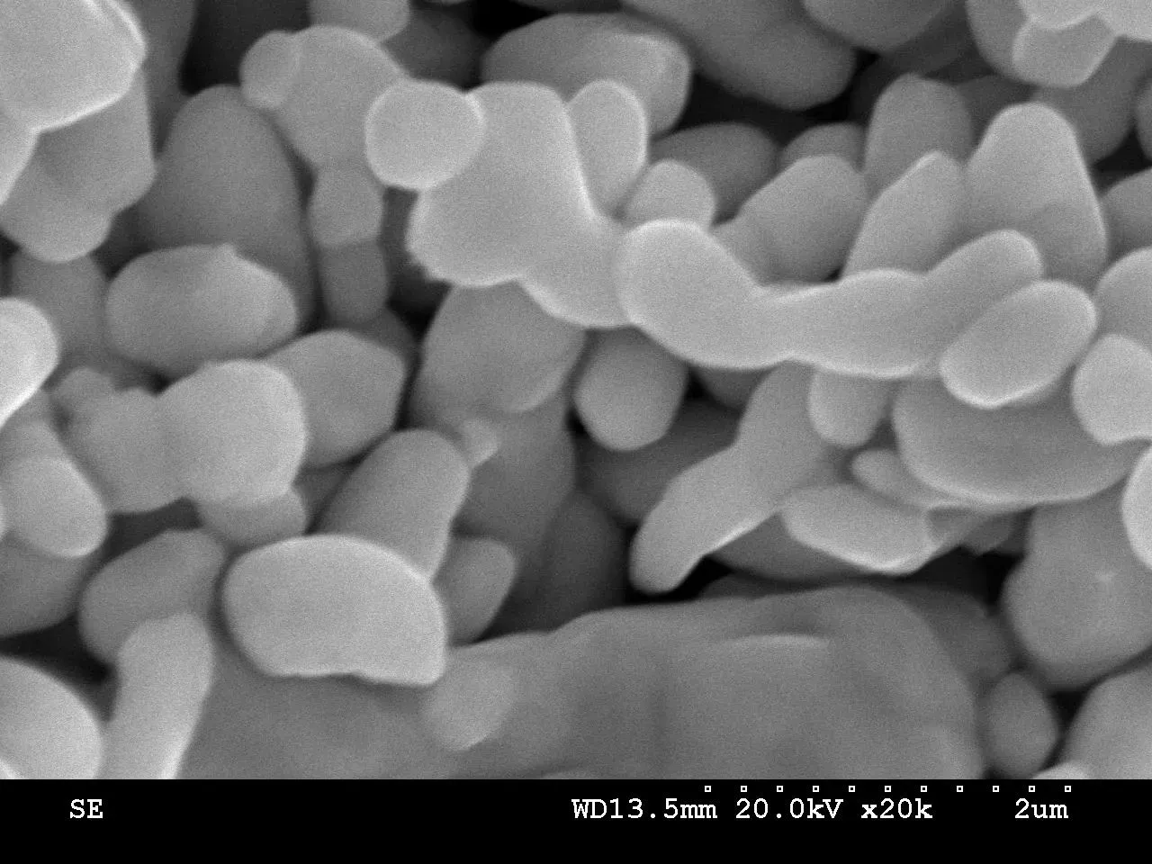 #4 - Silver Becomes a Bacteria-Killing Machine Only After It Shrinks (By Theivasanthi, CC BY-SA 4.0)