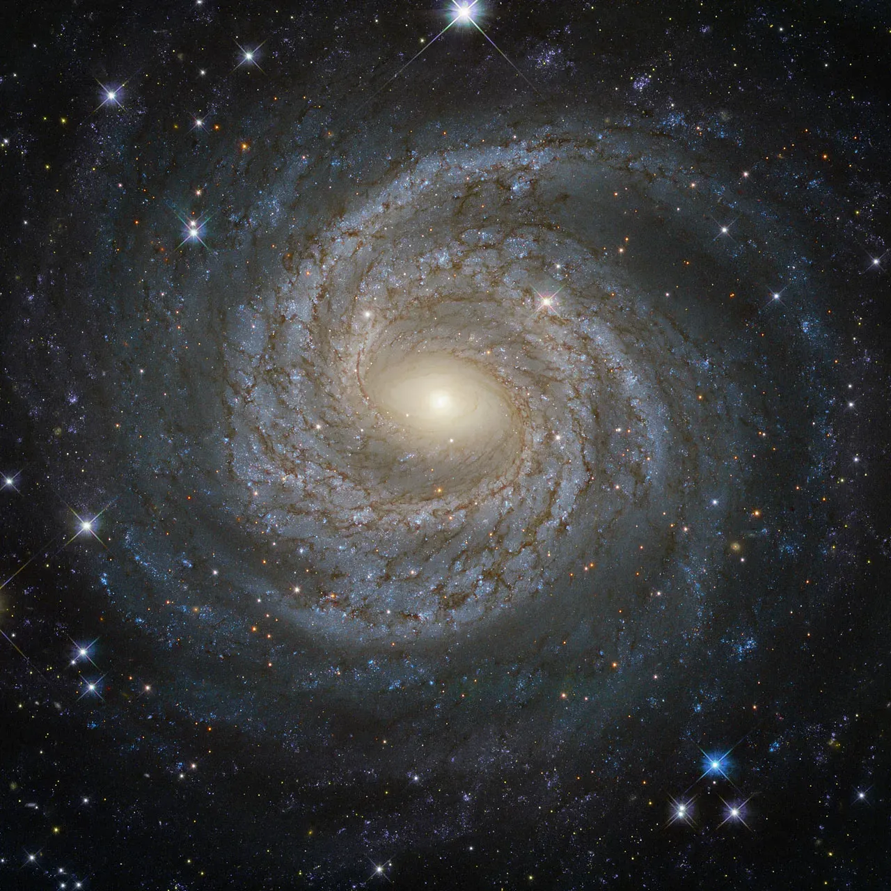 Storms, Shells, and Galaxies: How Far the Pattern Reaches (Image Credits: Wikimedia)