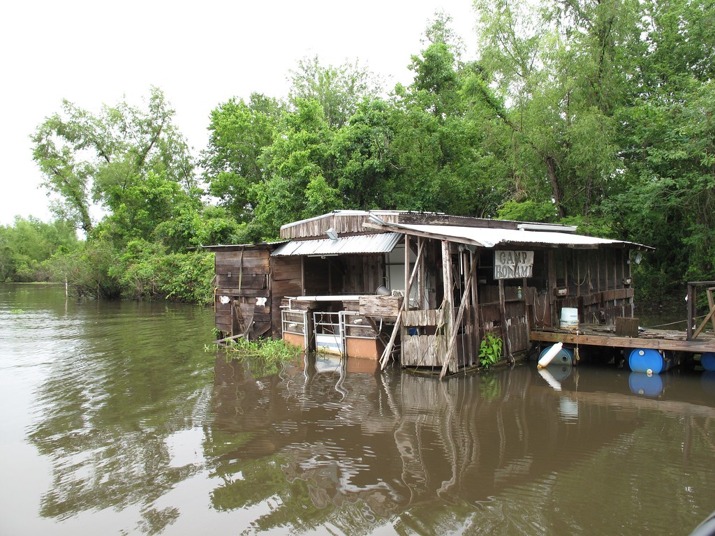 Louisiana's Fragile Wetland Mangrove Invasion (Image Credits: Flickr)