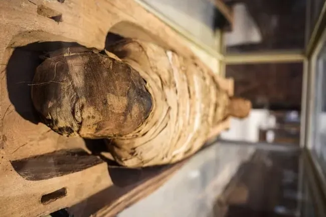 #18 - The “Untouched” Mummy With Hidden Modern Repairs (Image Credits: Pexels)