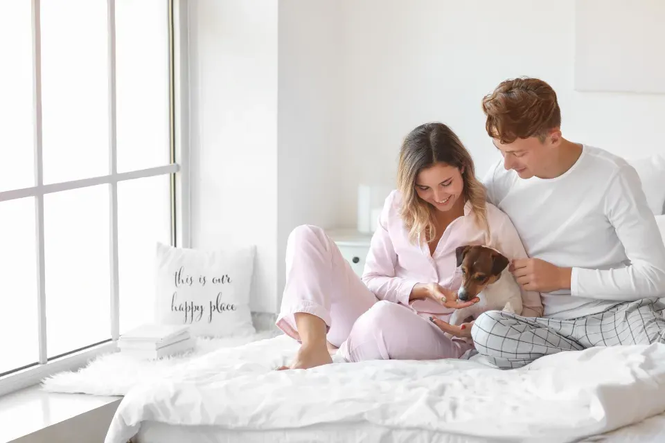 When Sharing The Bed Helps The Dog More Than The Human (And Vice Versa) (Image Credits: Stocksnap)