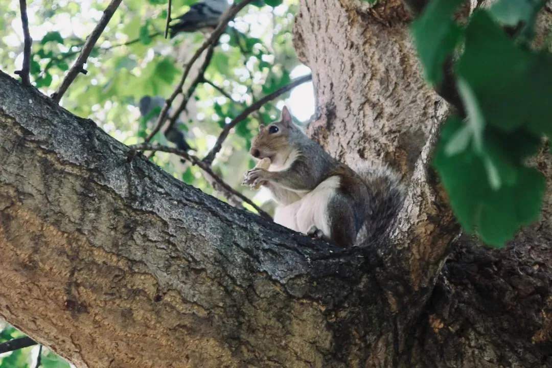 6. Changing Diets to Thrive on Fast Food and City Plants (Image Credits: Unsplash)