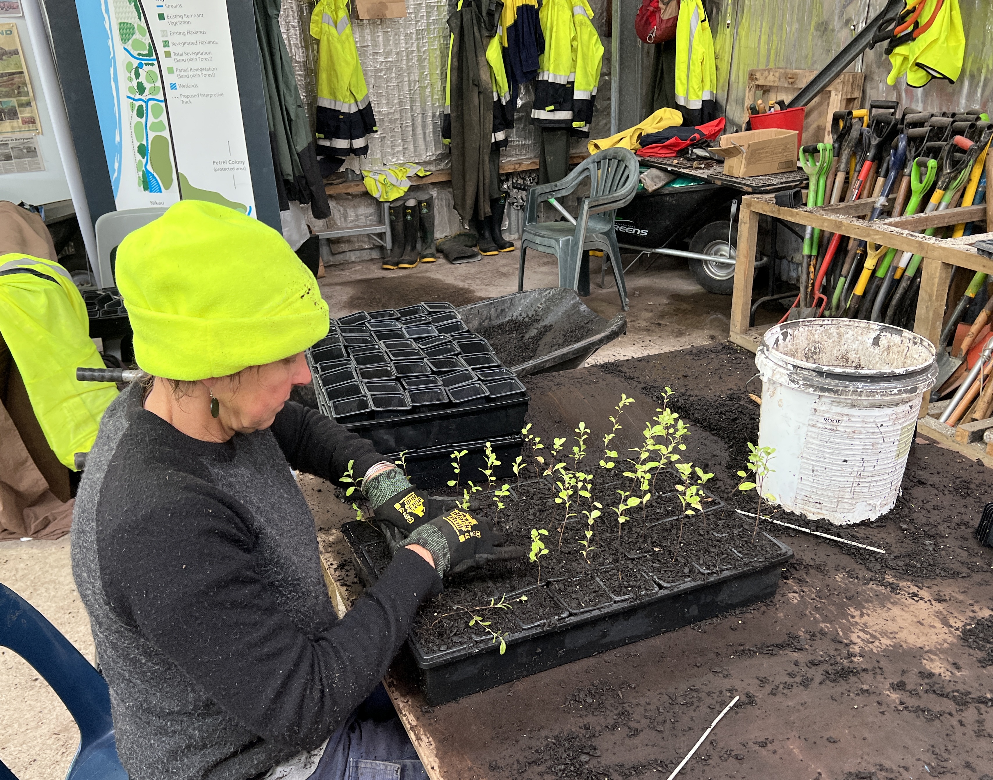 Why It Matters: The Human Engine Behind Rescue Outcomes (Image Credits: Wikimedia)