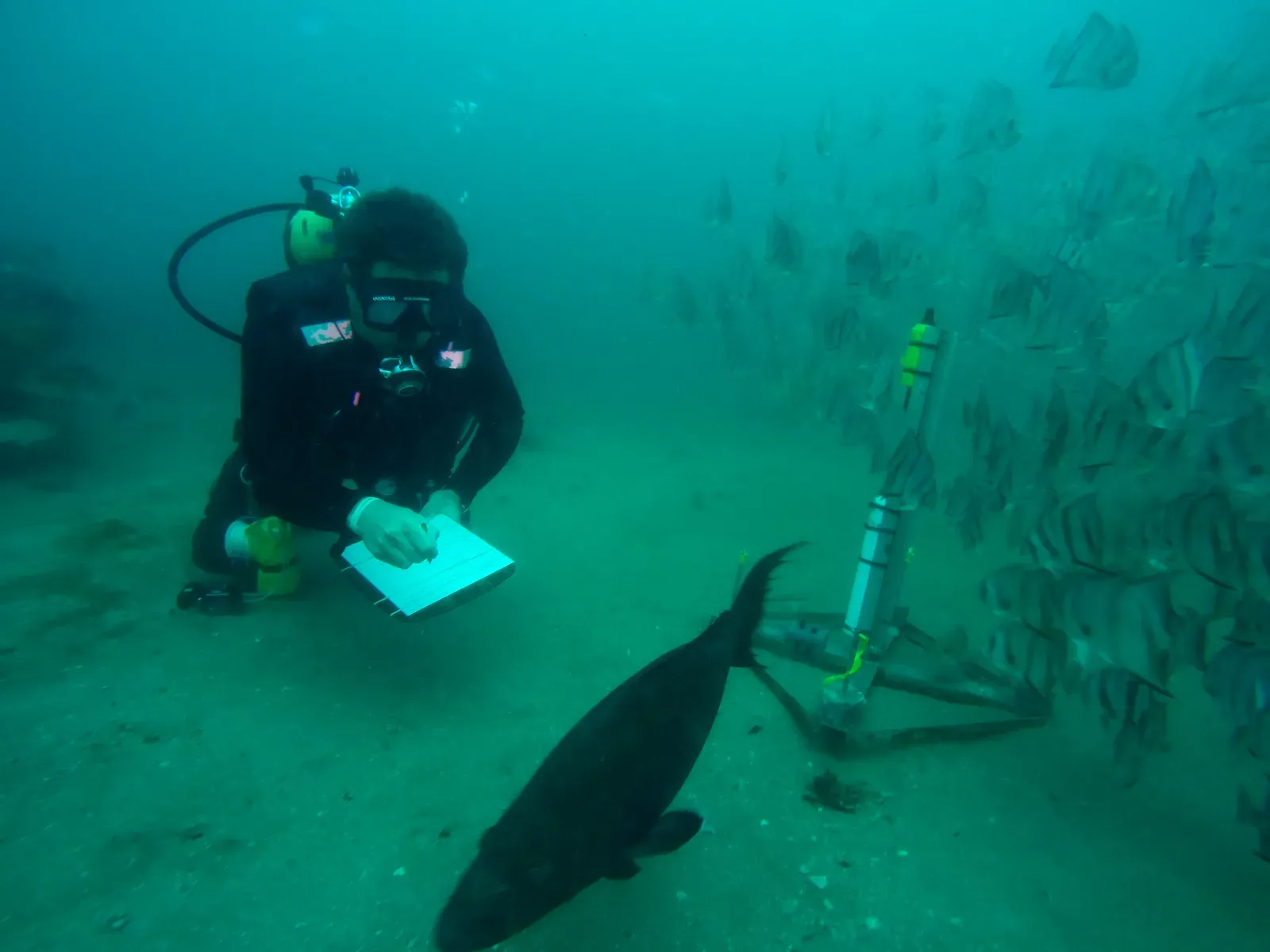 Why It Matters: The Deep Ocean as an Early Warning System (Image Credits: Wikimedia)