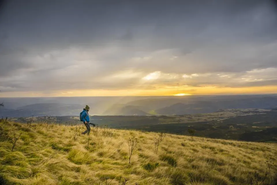 Practical Brain Resets: How Much Nature, How Often, And What Really Counts (Image Credits: Stocksnap)