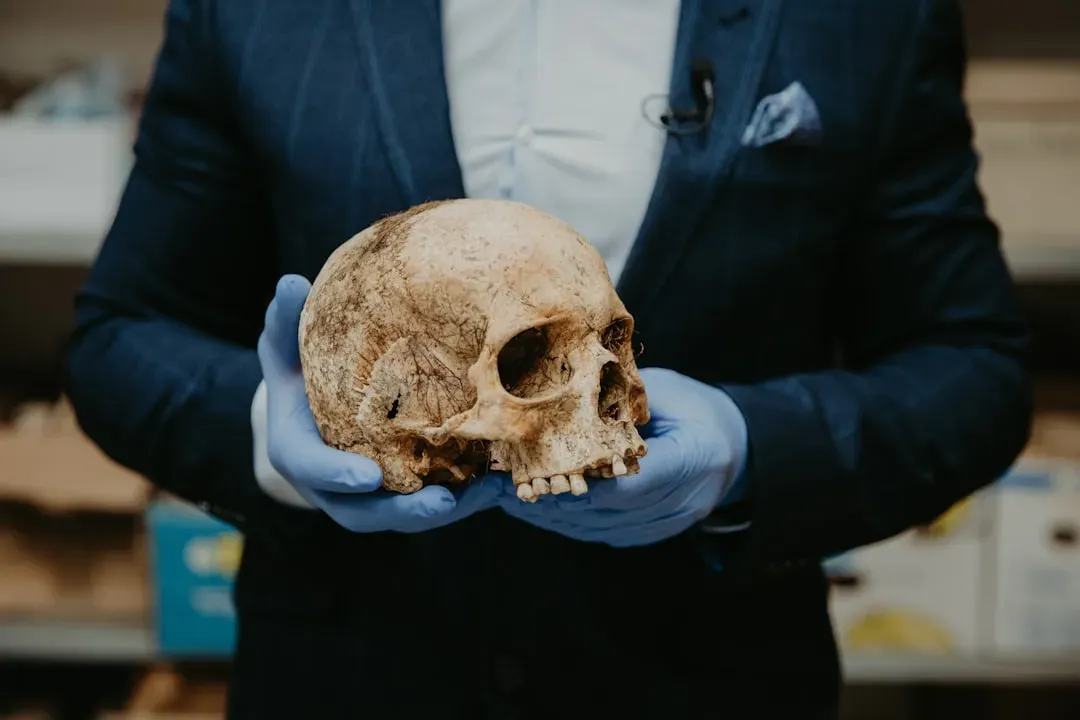 The Bottom Line (Image Credits: Unsplash)