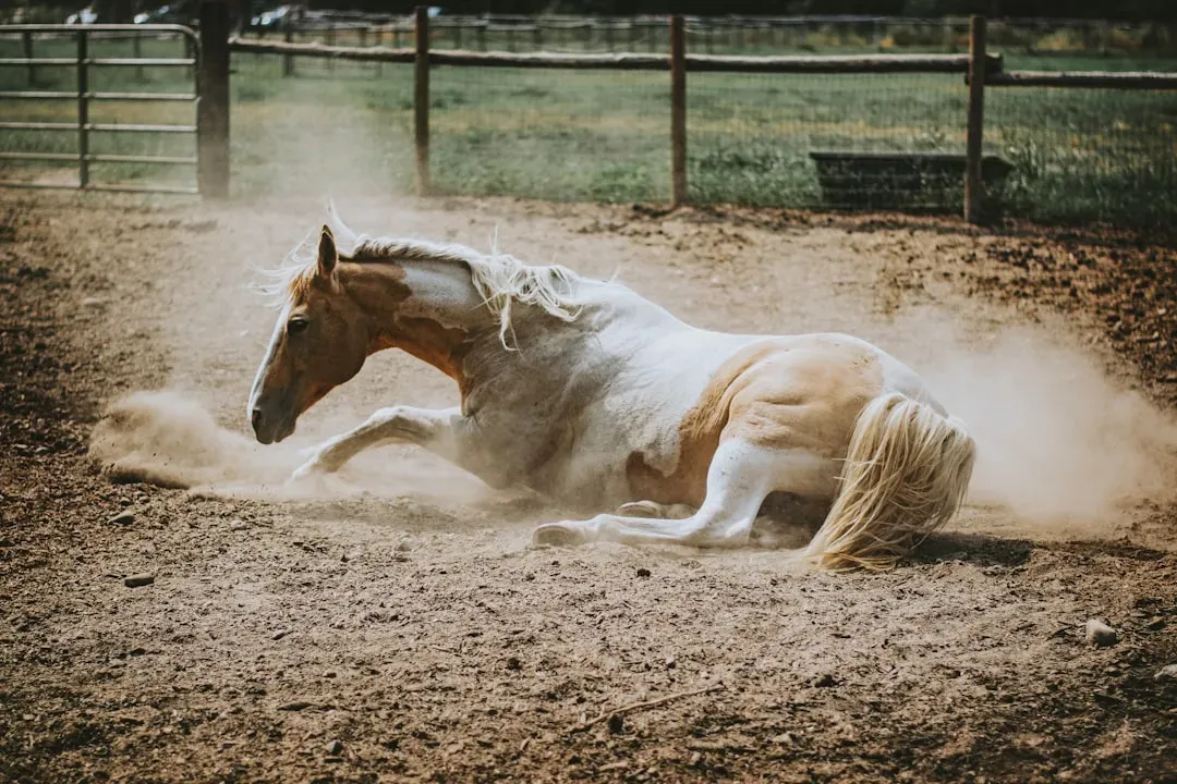 The Emotional Shortcuts Built Into Animal Imagery (Image Credits: Unsplash)