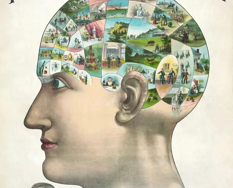 3. How Memories Are Stored and Retrieved in Detail (Image Credits: Rawpixel)