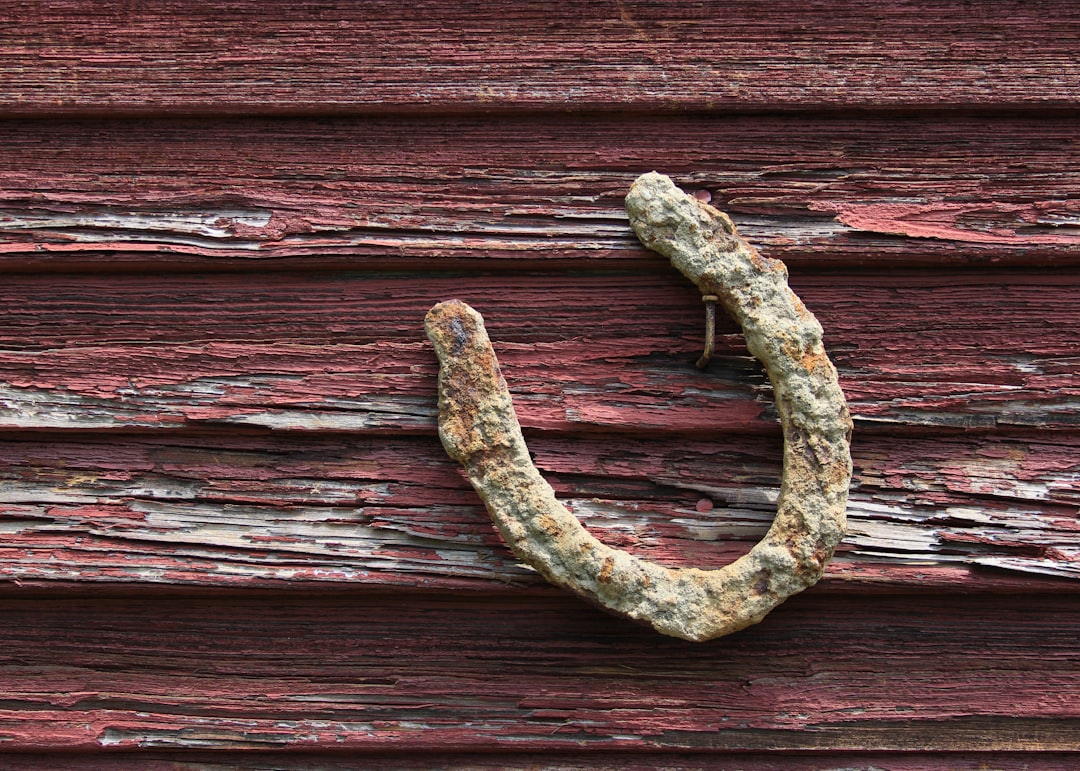 Lucky Horseshoes: Iron Magic Meets Sacred Symbolism (Image Credits: Unsplash)
