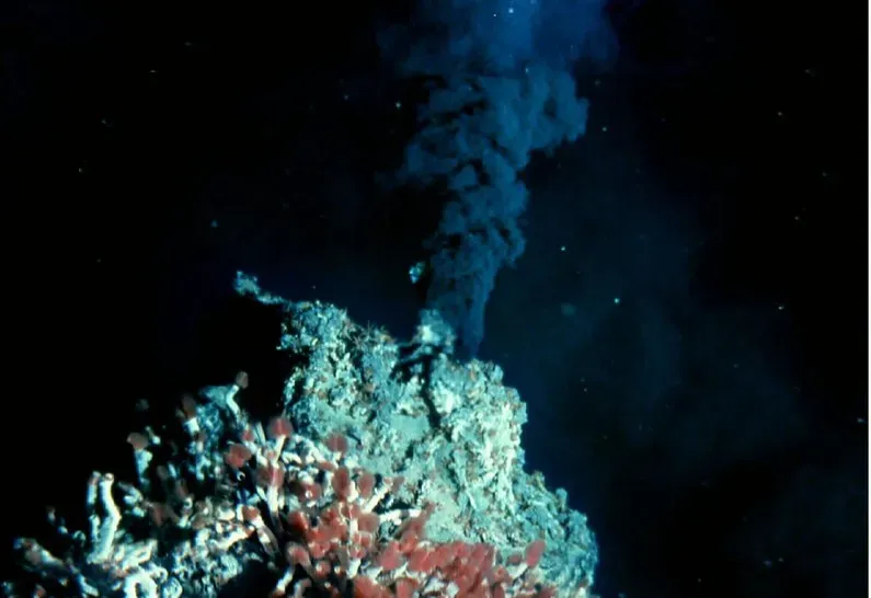 Hydrothermal Vents: Underwater “Cities” Powered by the Earth Itself (Image Credits: Flickr)