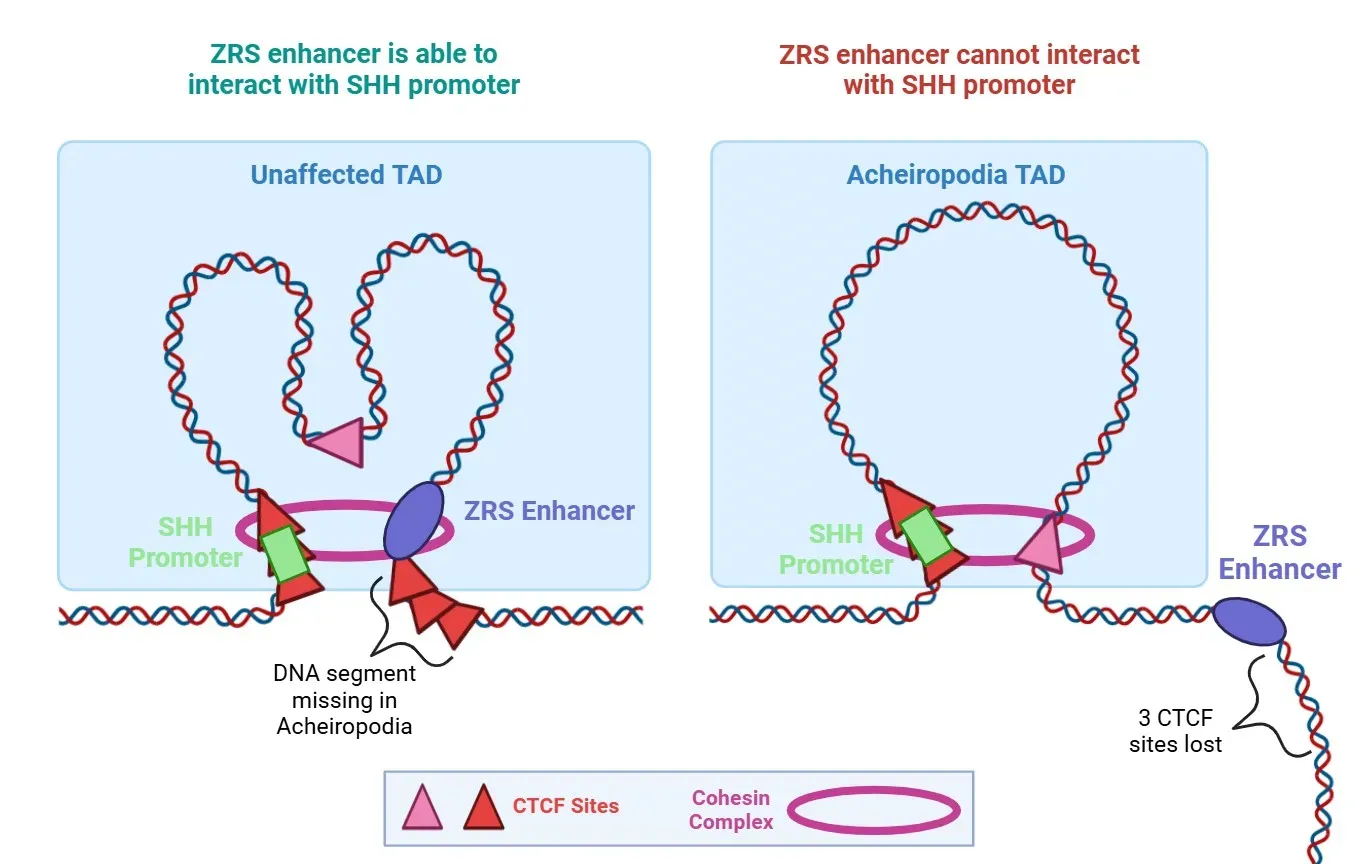 The Future Landscape: Bio-Inspired Buildings and Living Infrastructure (Image Credits: Wikimedia)