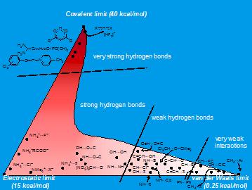 Water: The Everyday Anomaly (Image Credits: Wikimedia)