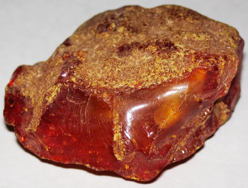 8. Jurassic and Cretaceous Amber: The First Clear Views of Ancient Flowers (James St. John, Flickr, CC BY 2.0)