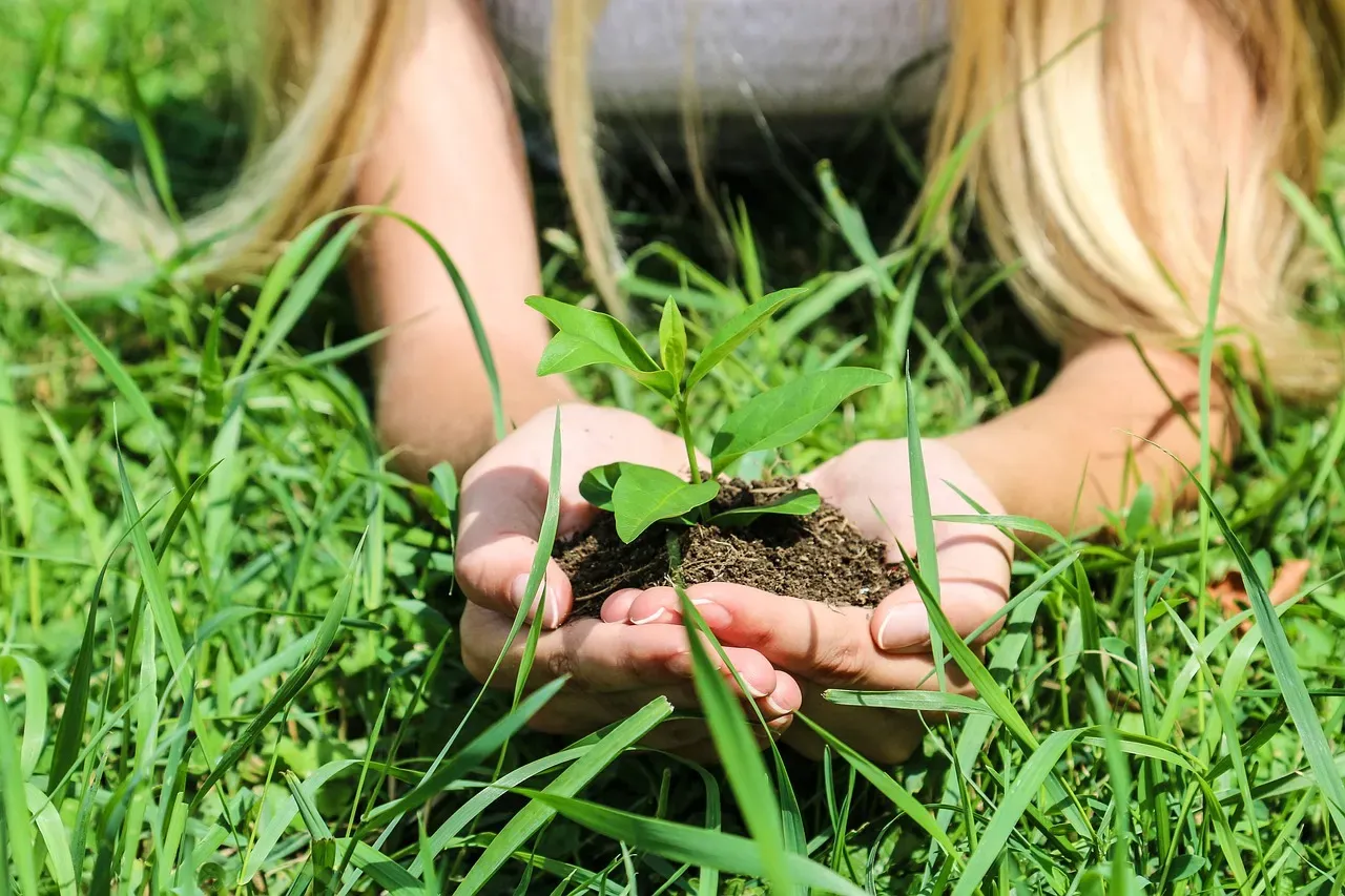 The Power Is Genuinely in Your Hands (Image Credits: Pixabay)