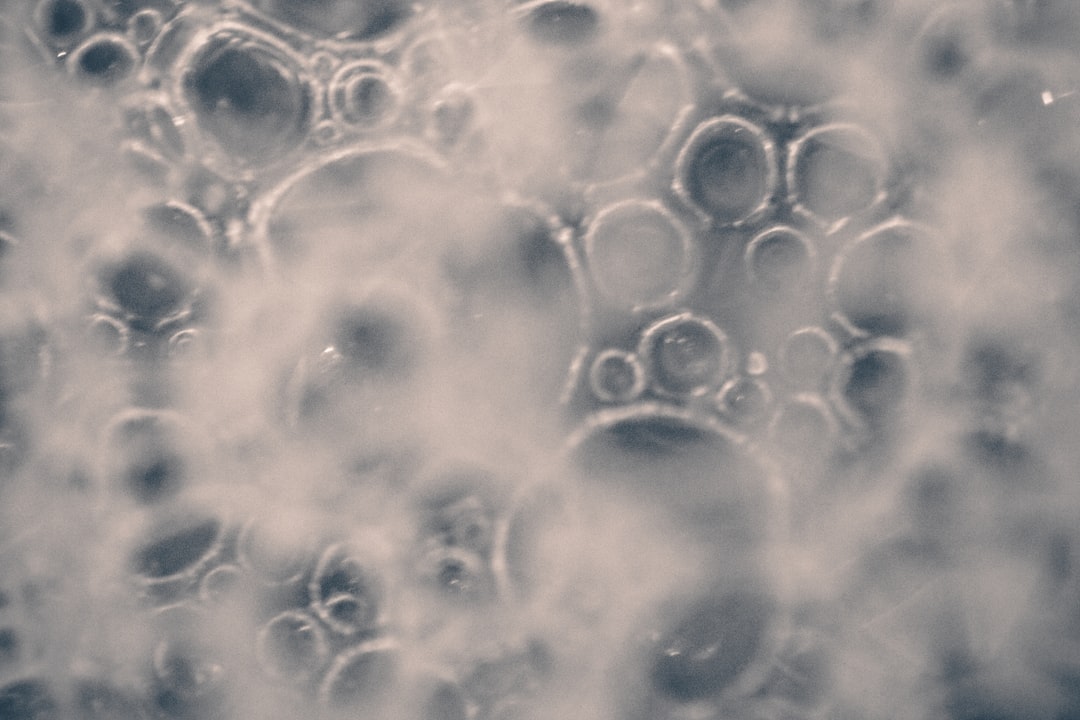 New Horizons in Atmospheric Biology (Image Credits: Unsplash)