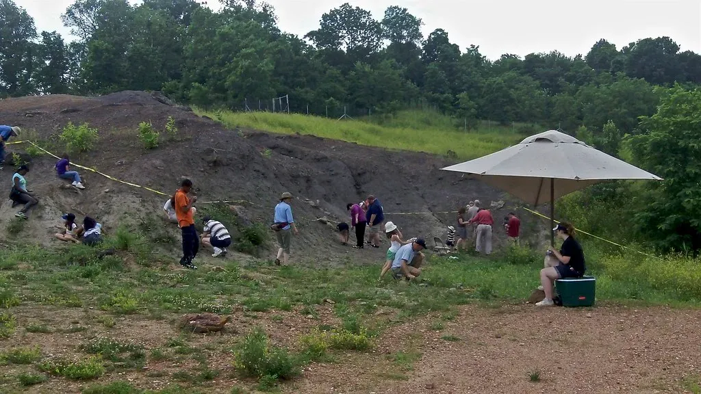 Conclusion: Chasing Bones Without Losing the Magic (crimfants, Flickr, CC BY-SA 2.0)