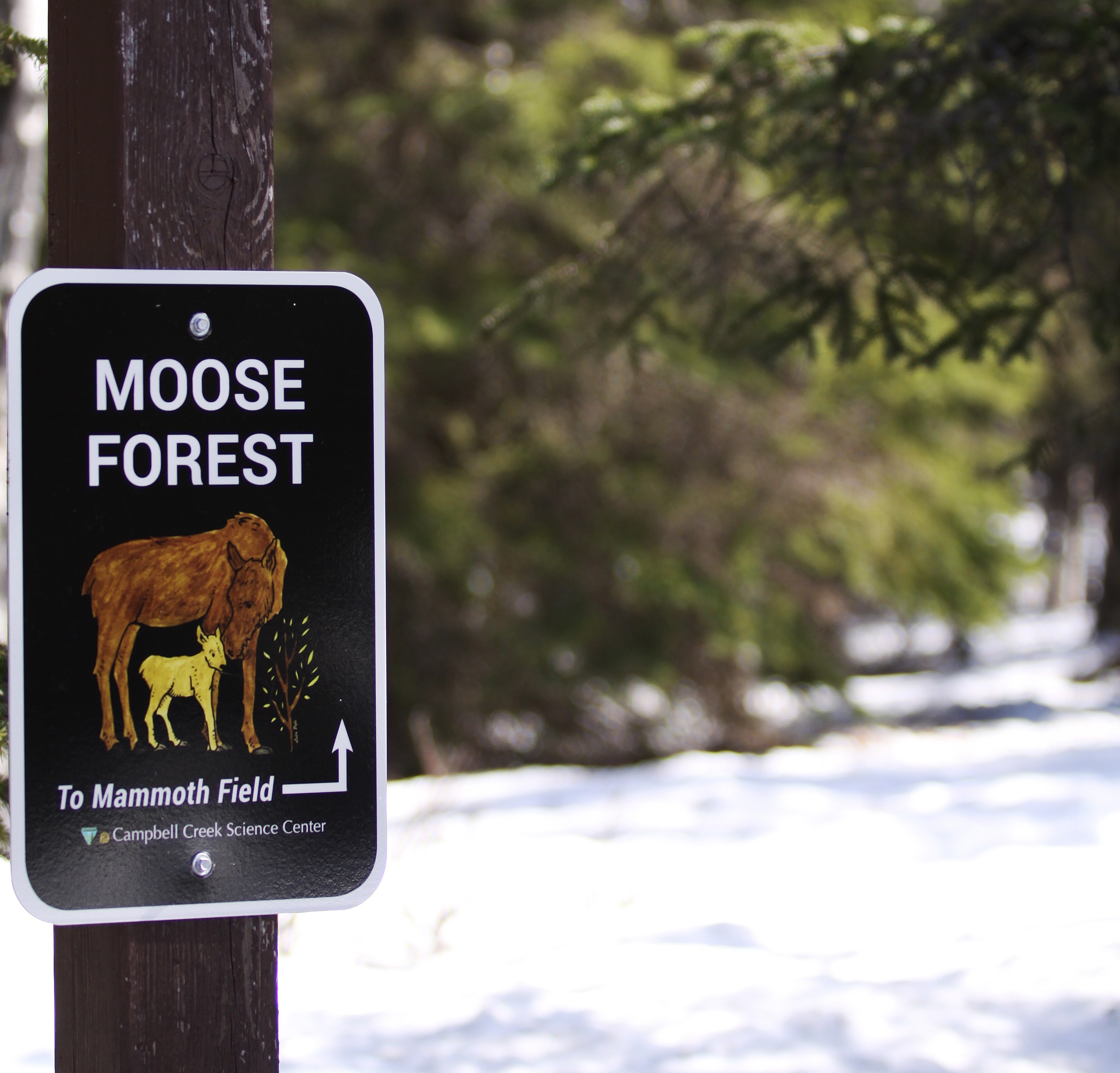 Forecasting the Fight: Weather‑Driven Risk Maps That Guide Real Decisions (Image Credits: Wikimedia)