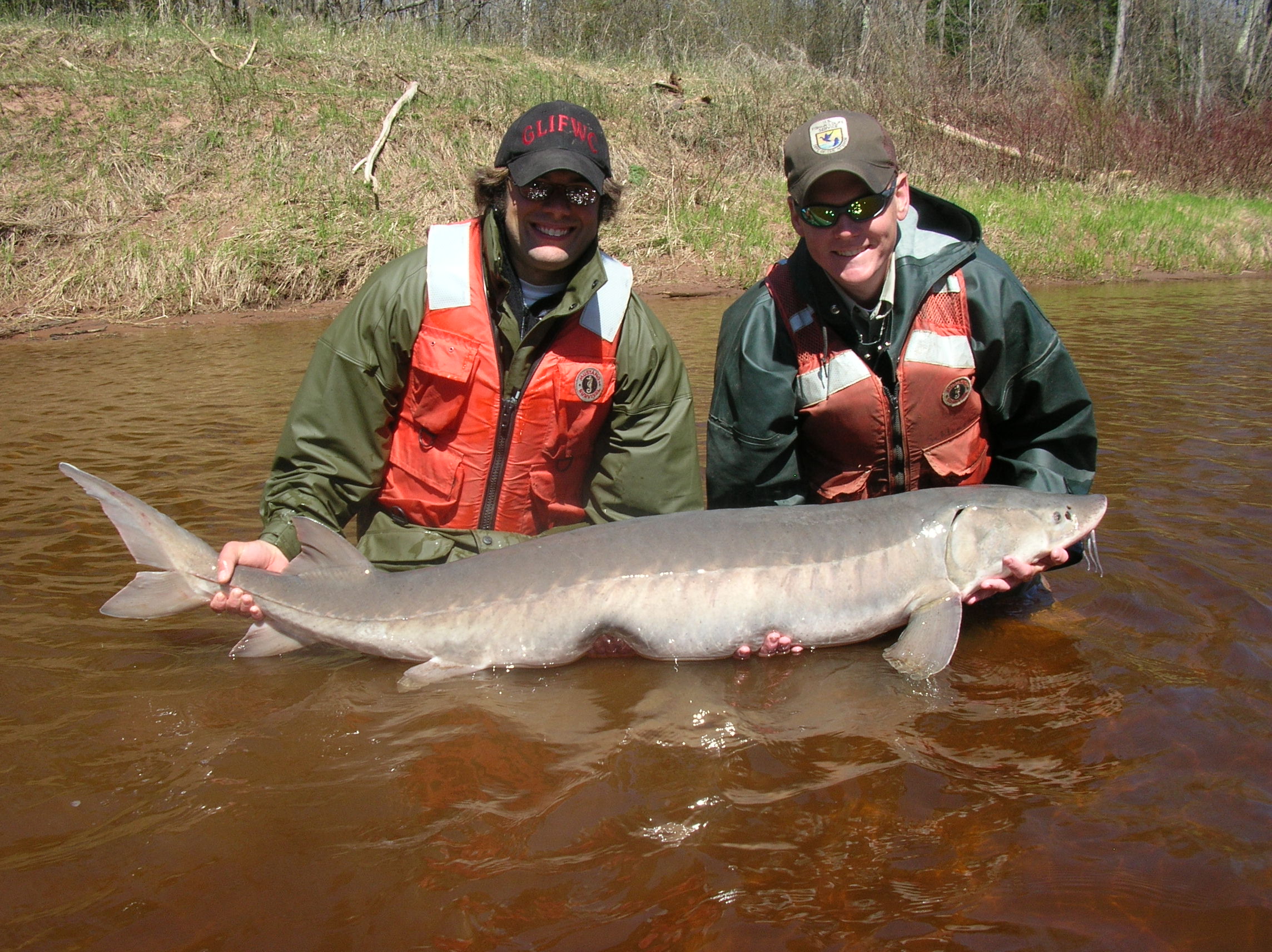 Osage River, Missouri - First Sparks in a Century (Image Credits: Wikimedia)