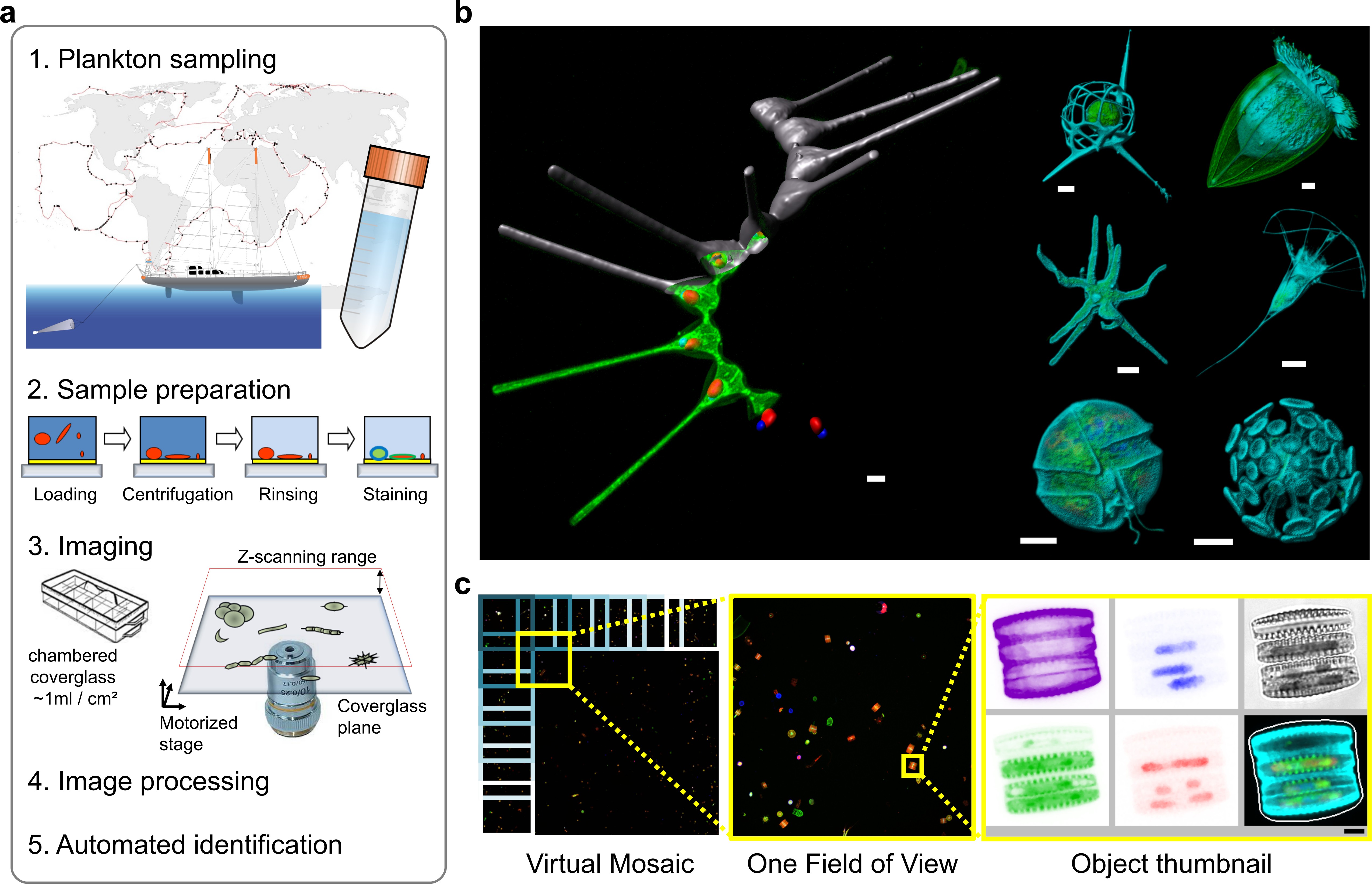 The Future Landscape: What New Tech Will Reveal (Image Credits: Wikimedia)