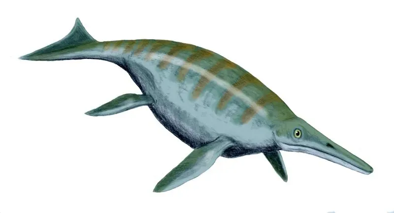 #6 - Shonisaurus popularis: A Giant Ichthyosaur Pieced Together From Broken Bones (By Nobu Tamura (http://spinops.blogspot.com), CC BY 2.5)
