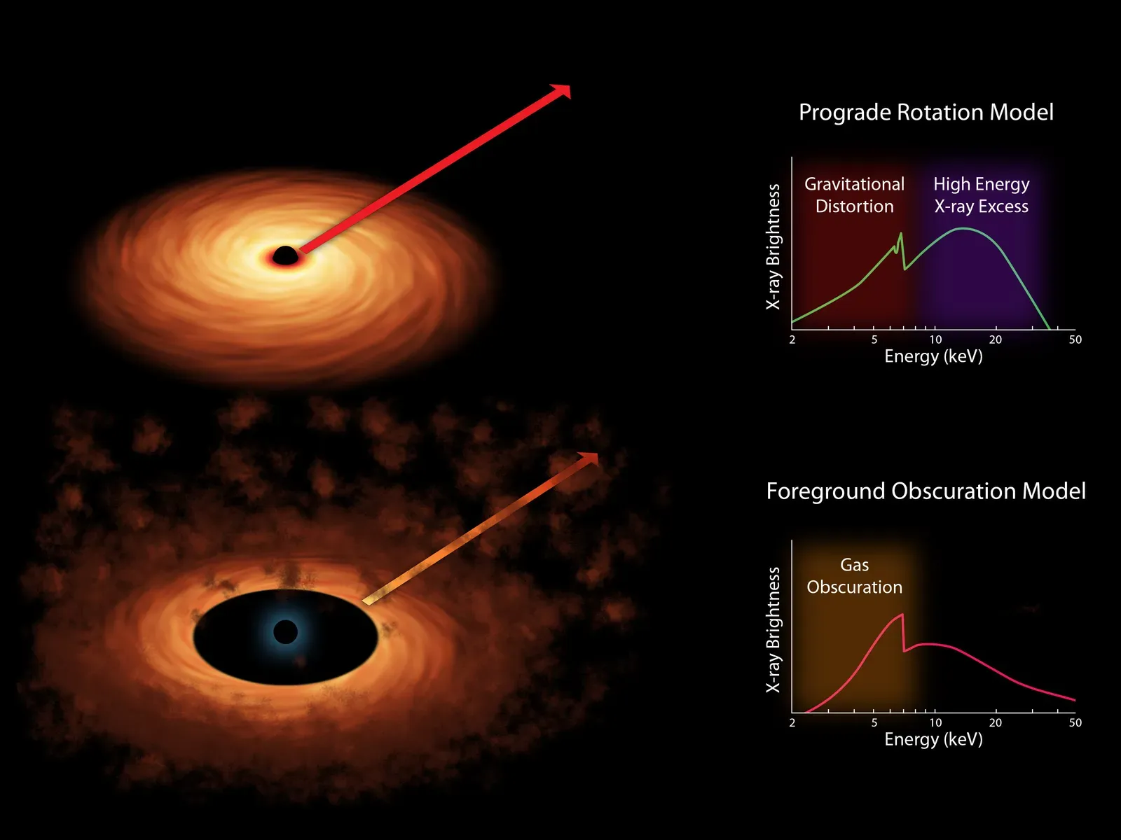 Frame-Dragging: When Spinning Black Holes Twist Space Itself (By NASA/JPL-Caltech, Public domain)