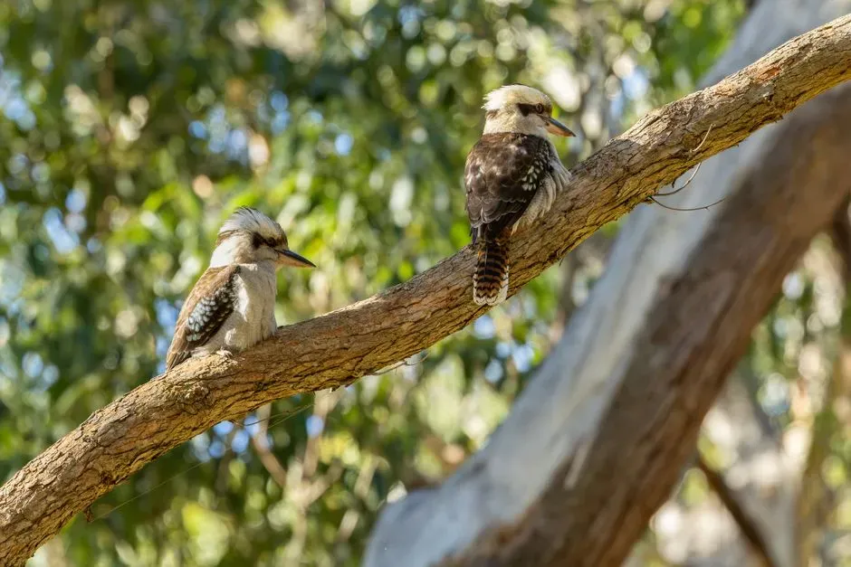 Why Joining the Family Chorus Actually Matters (Image Credits: Pexels)