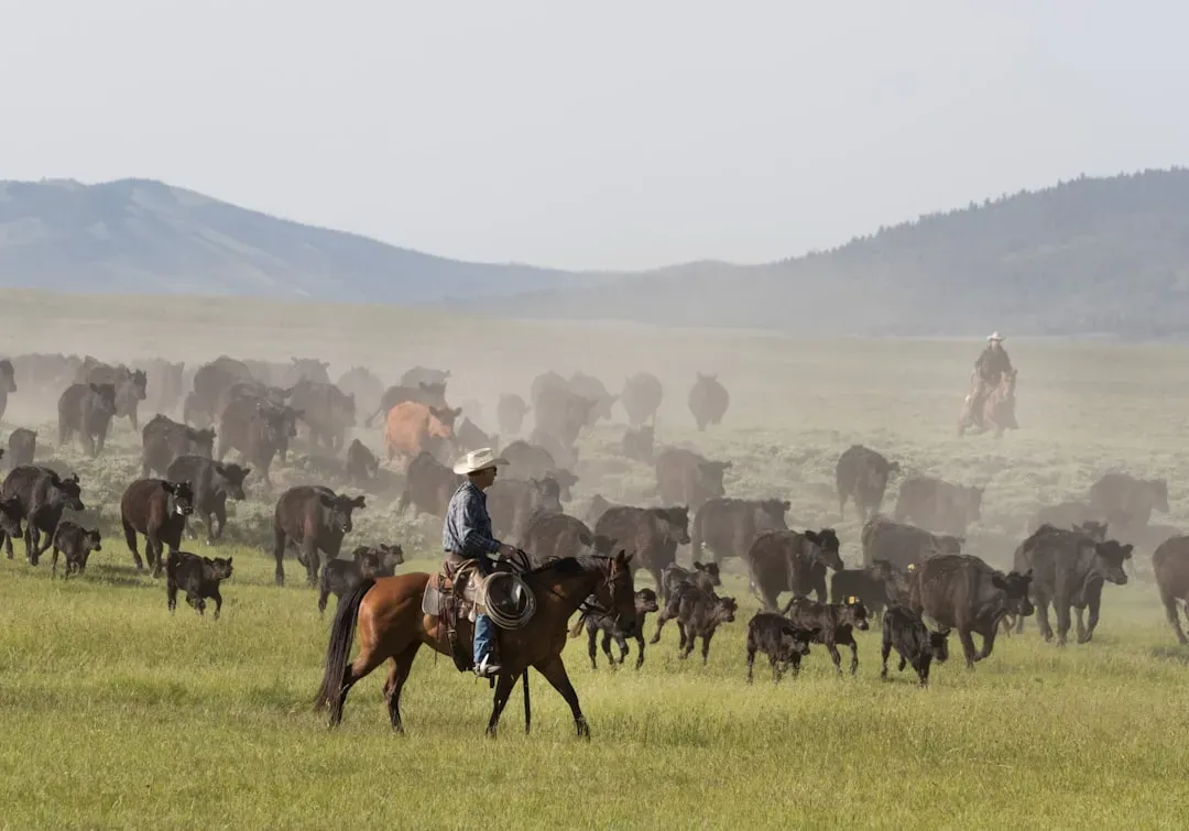 #5 - Your Language Might Have Come From Horseback Herders (Image Credits: Unsplash)