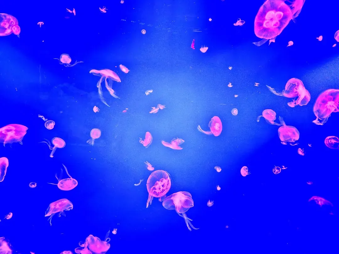 Conclusion: Redefining What “Alive” Can Mean (Image Credits: Unsplash)