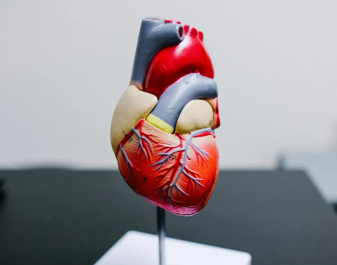 The Relentless Powerhouse That Never Shuts Down (Image Credits: Unsplash)