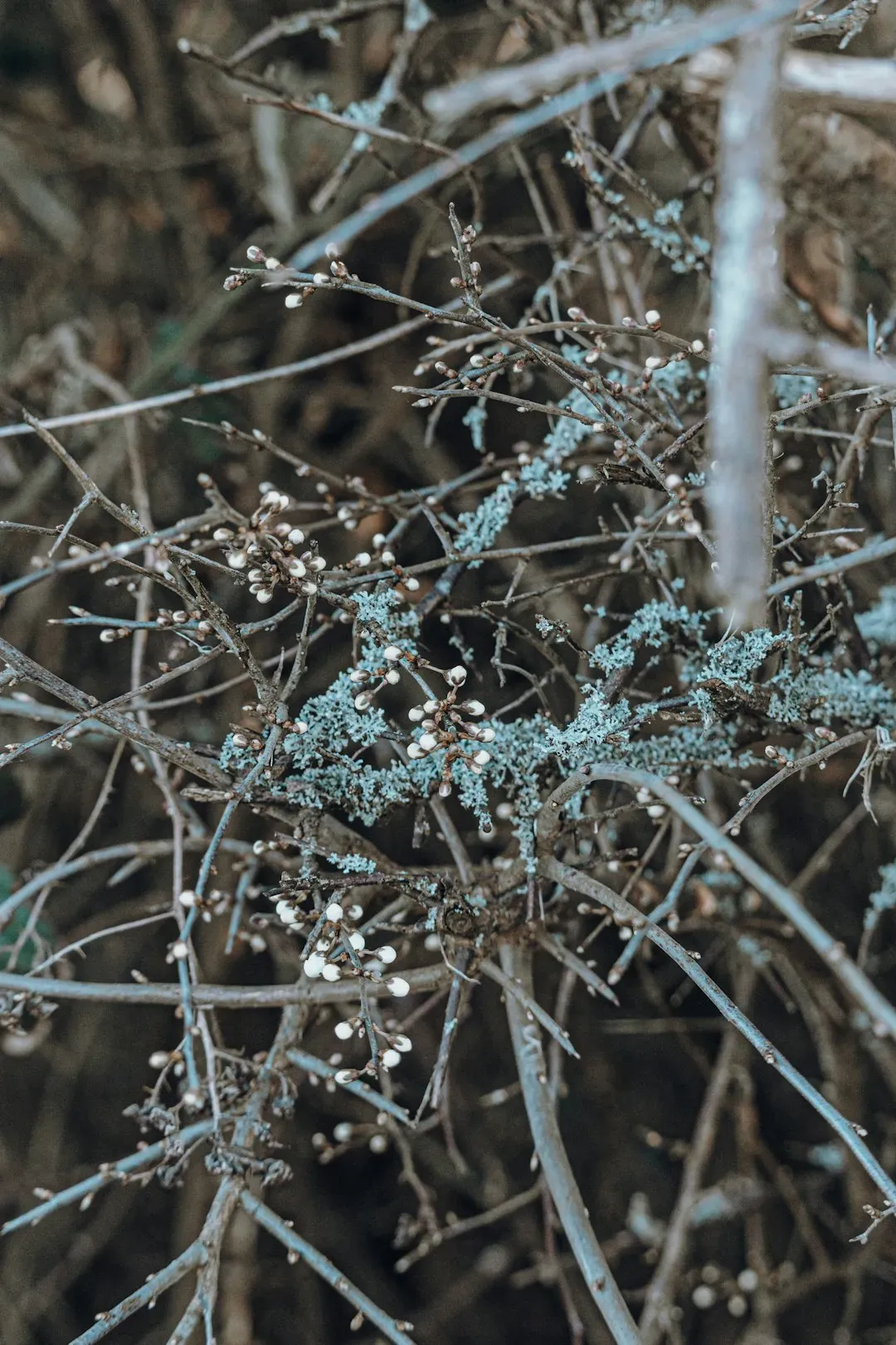 From Ancient Observations to Modern Experiments: How Did We Miss This? (Image Credits: Unsplash)