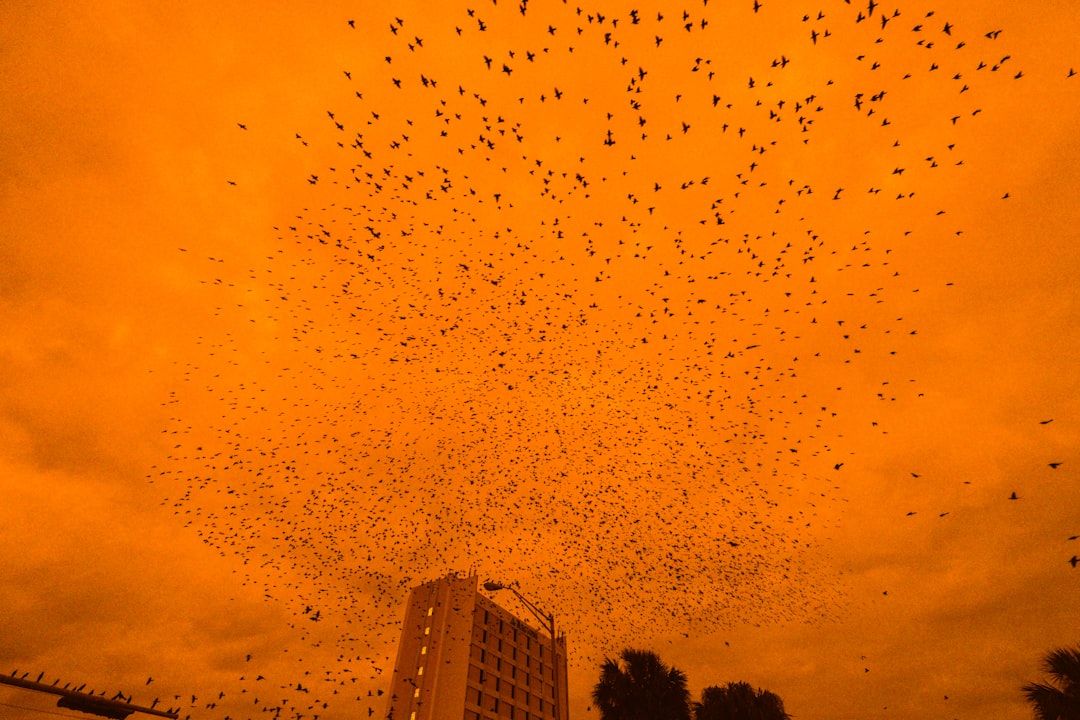 Extreme Heat Forces Route Changes (Image Credits: Unsplash)