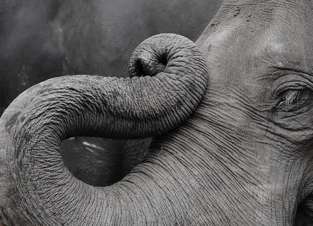 #10 - The Shift From "Anthropomorphism" To "We're Underselling Them" (Image Credits: Unsplash)