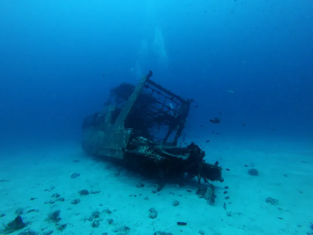 #2 - The Deadliest Shipwreck in History, Hidden by Politics (Image Credits: Unsplash)